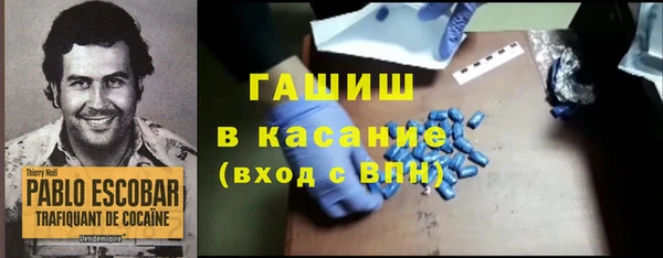 гашик Алексин