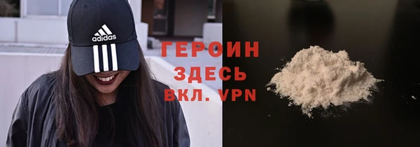 гашик Алексин