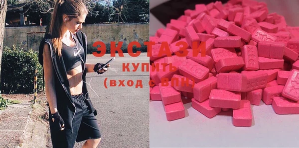 гашик Алексин