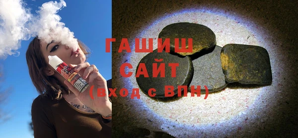 гашик Алексин