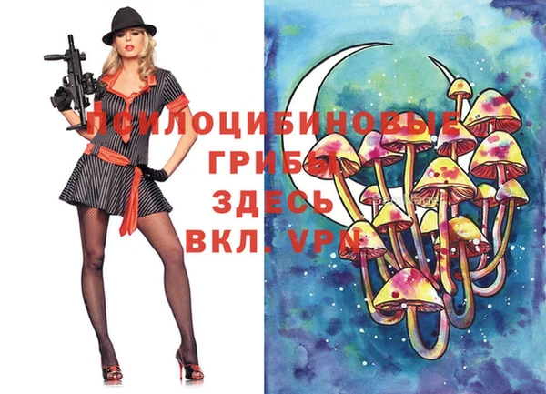 герыч Алзамай