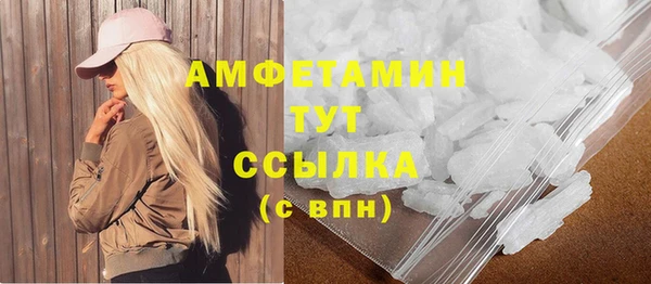 гашик Алексин
