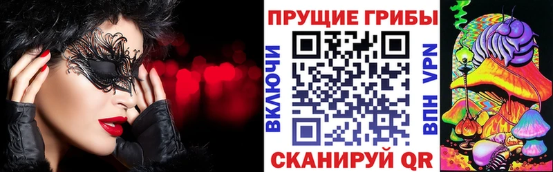 Псилоцибиновые грибы мицелий Тейково